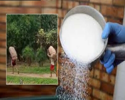 মধ্যনগরে ৮০ বস্তা ভারতীয় চিনিসহ তিনজন আটক